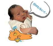 850331745