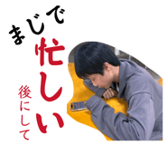 850331891