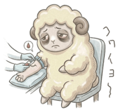 850332594