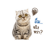 850335792
