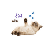 850335795
