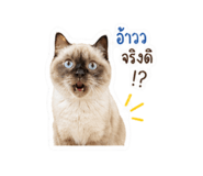 850335801
