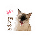 850337147