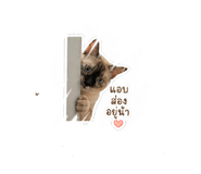 850337148