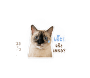 850337151