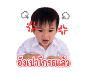 850344013