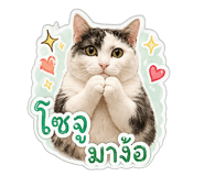 850345505