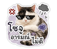 850345509