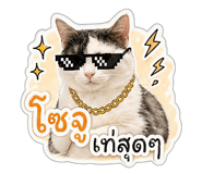 850345510