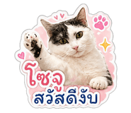 850345512