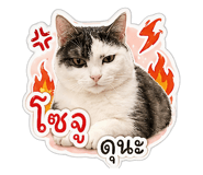 850345520