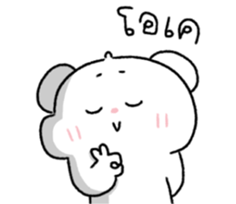 ต้าวหมีดูดู้ 16 5