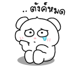 ต้าวหมีดูดู้ 16 22