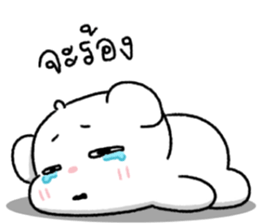 ต้าวหมีดูดู้ 16 23