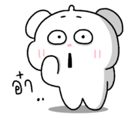 ต้าวหมีดูดู้ 16 34