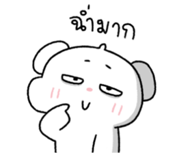 ต้าวหมีดูดู้ 16 35