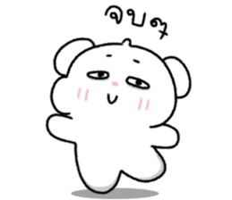 ต้าวหมีดูดู้ 16 37