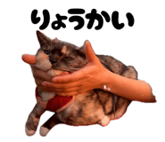 850353340