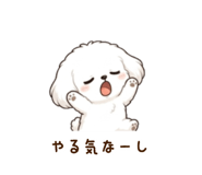 850353555