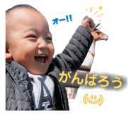 850354039