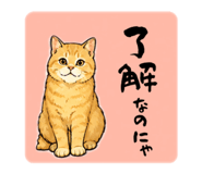 850355571