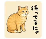 850355572