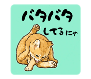 850355576