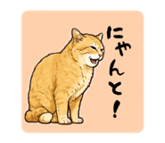 850355582