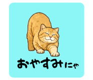 850355583