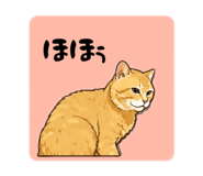 850355586