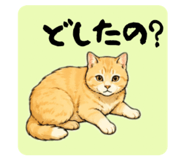 850355592