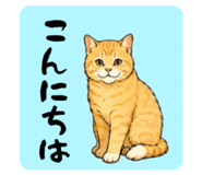 850355595