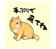850355597