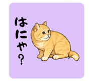 850355598