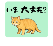 850355599