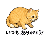 850355604