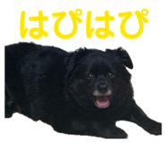850356521