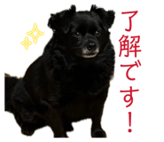 850356522