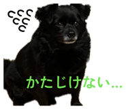 850356527