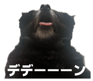 850356545