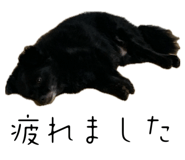 850356552
