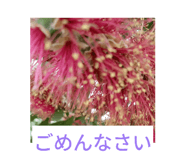 850357387