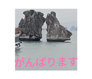 850357390