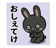 850358444