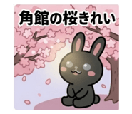 850358452