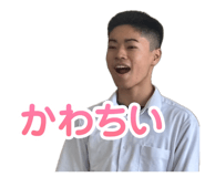 850360113