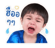850362290
