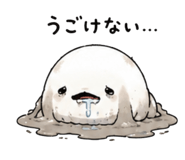 850362731