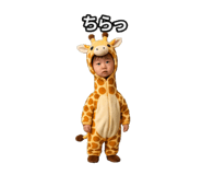 850364208