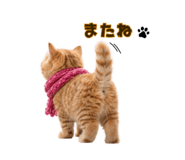 850365127